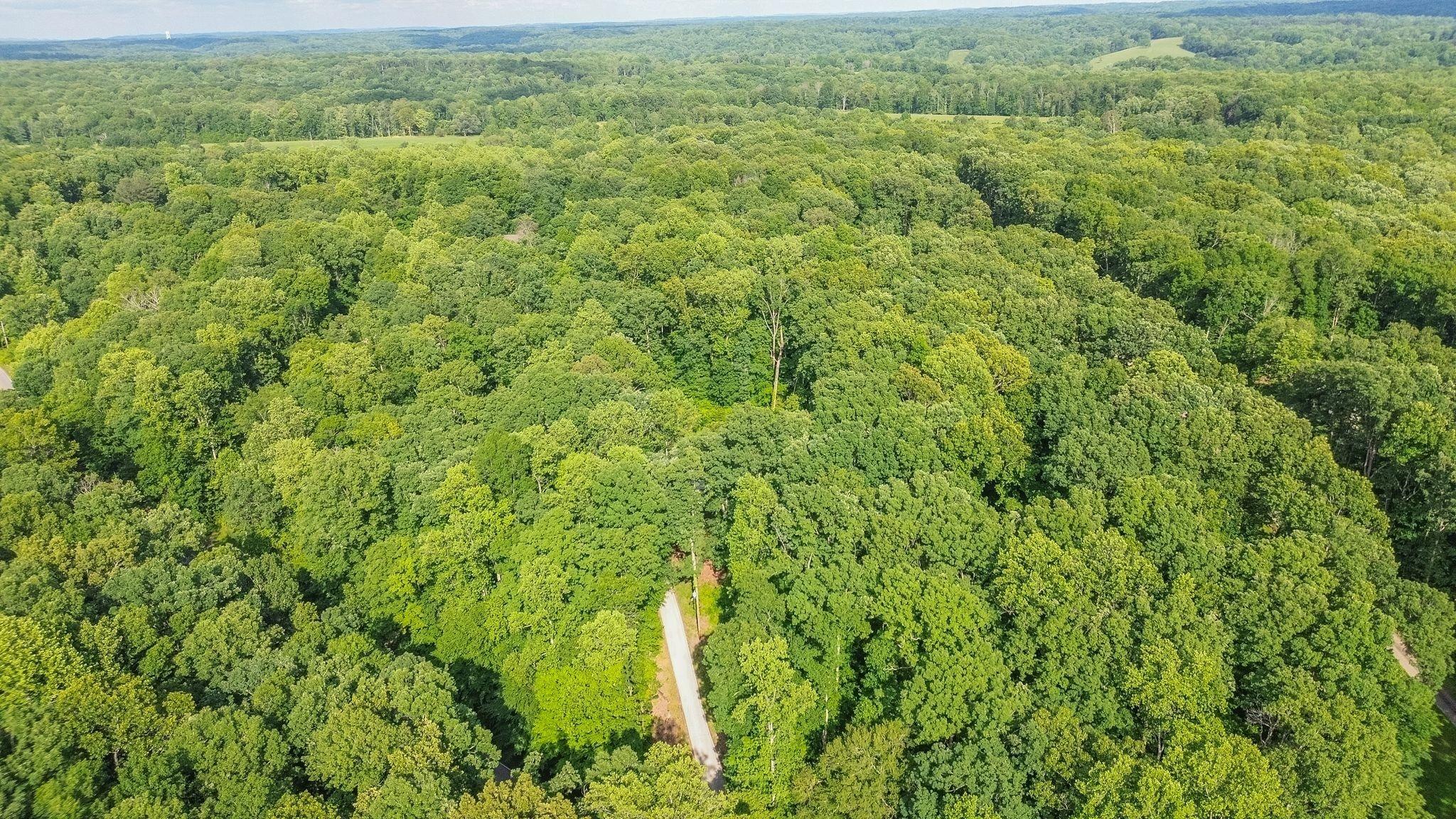 Oscar Green Rd, Primm Springs, TN 38476