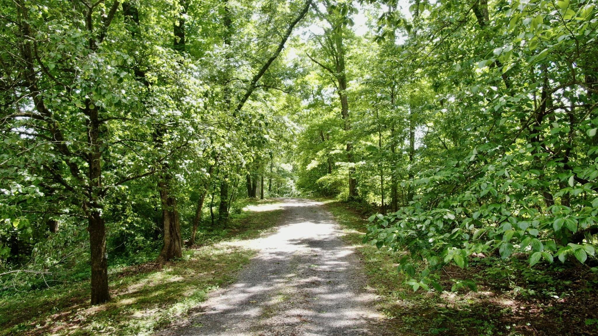 Cohutta Beaverdale Rd, Cohutta, GA 30710