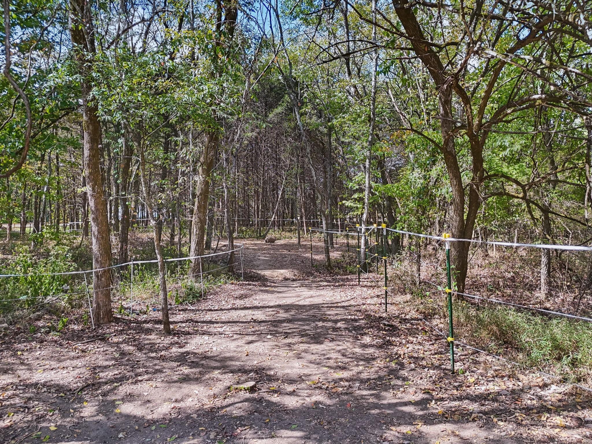 Poplar Hill Rd, Watertown, TN 37184
