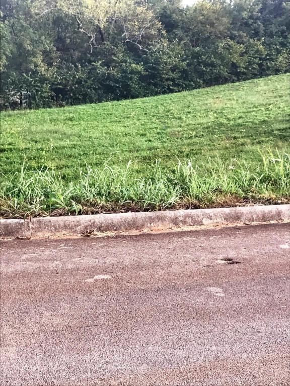 Colby Cove Dr, Maryville, TN 37801