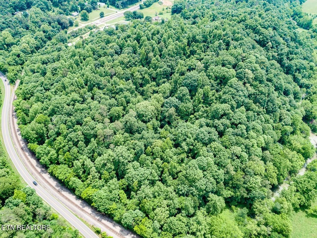 W Brushy Valley Dr, Powell, TN 37849
