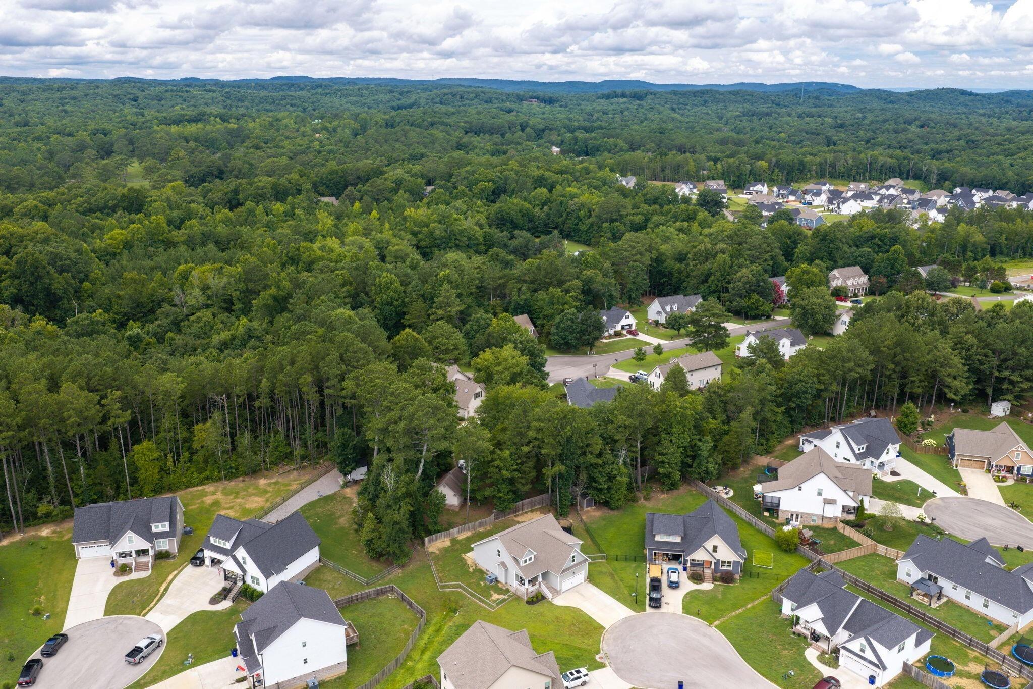 Suzannas Cv Nw, Cleveland, TN 37312