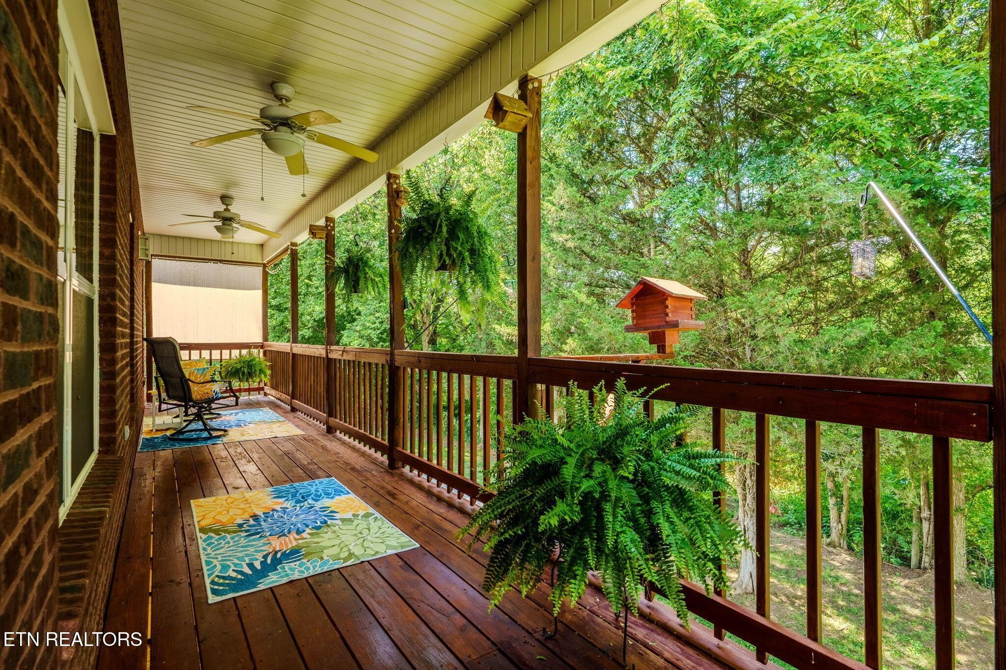 Ally Ln, Sevierville, TN 37876