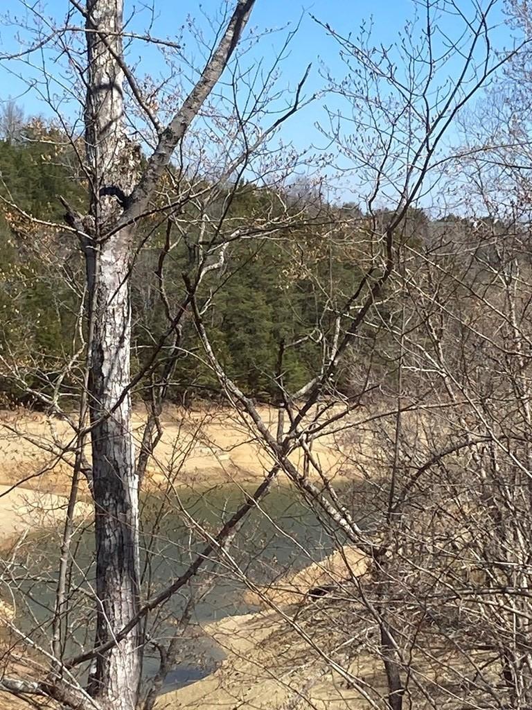 Daryl Way, Sevierville, TN 37876