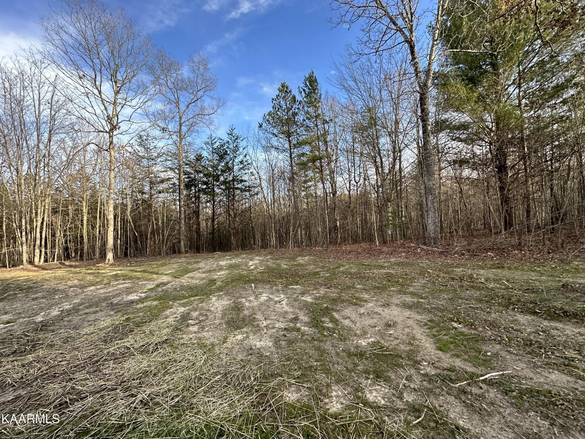 Dulog Trl, Jamestown, TN 38556
