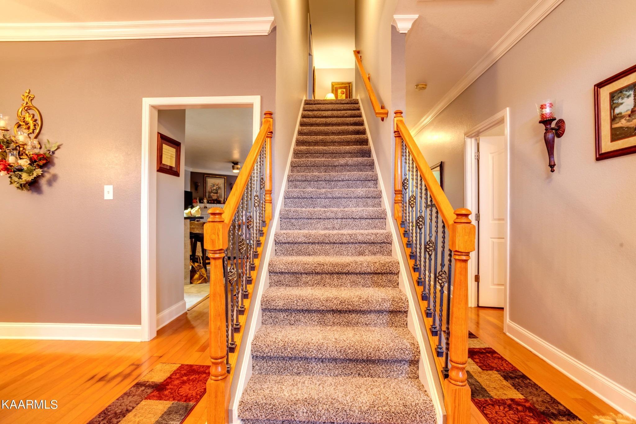 Wisteria View Way, Knoxville, TN 37914