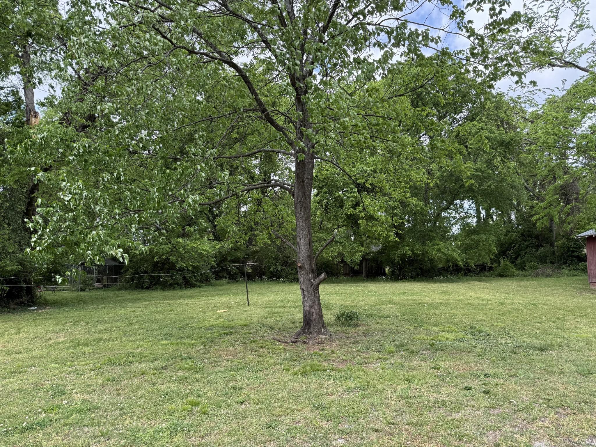 Manchester Ave, Nashville, TN 37218