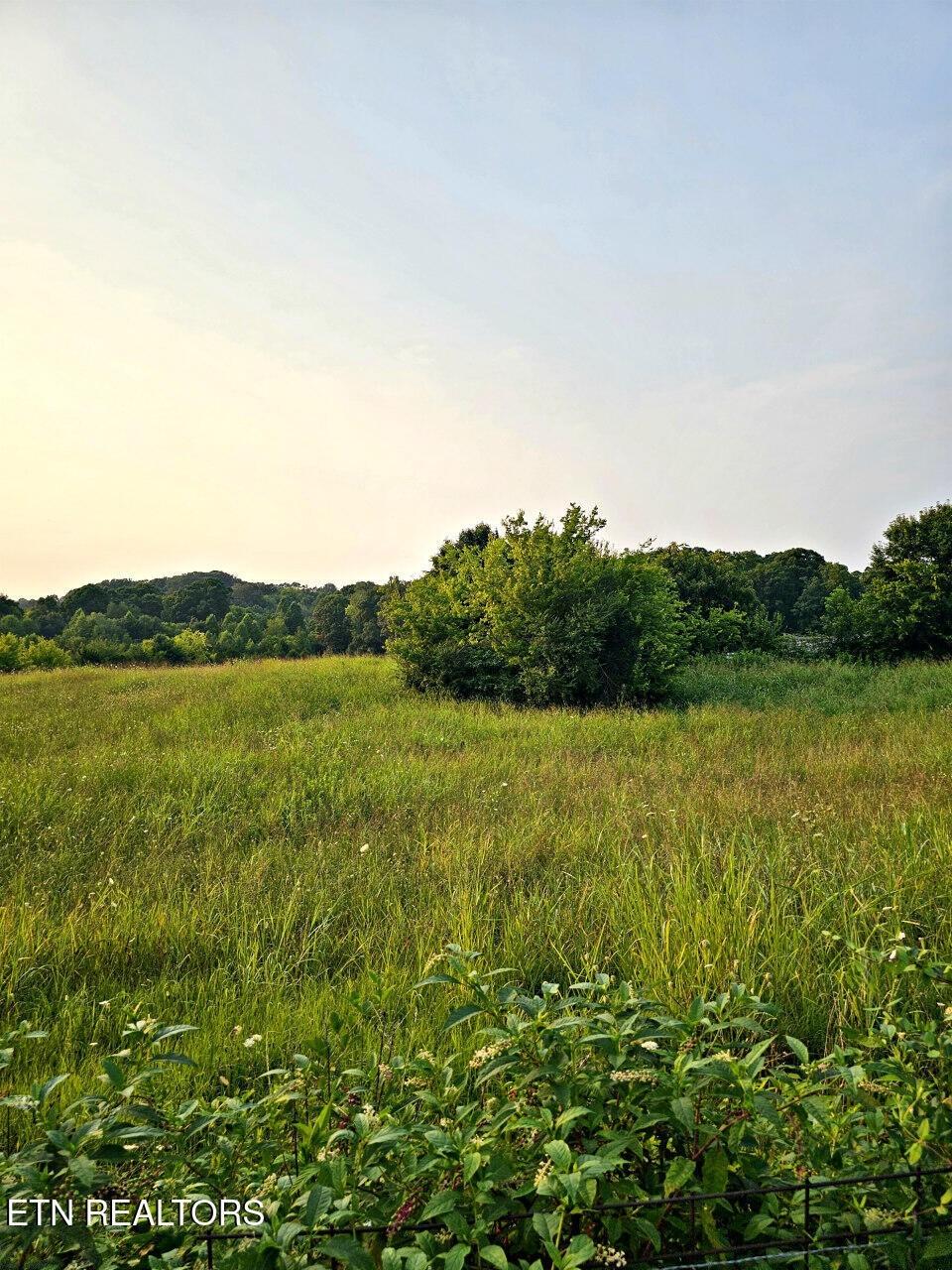 Wells Spring Rd, Dandridge, TN 37725