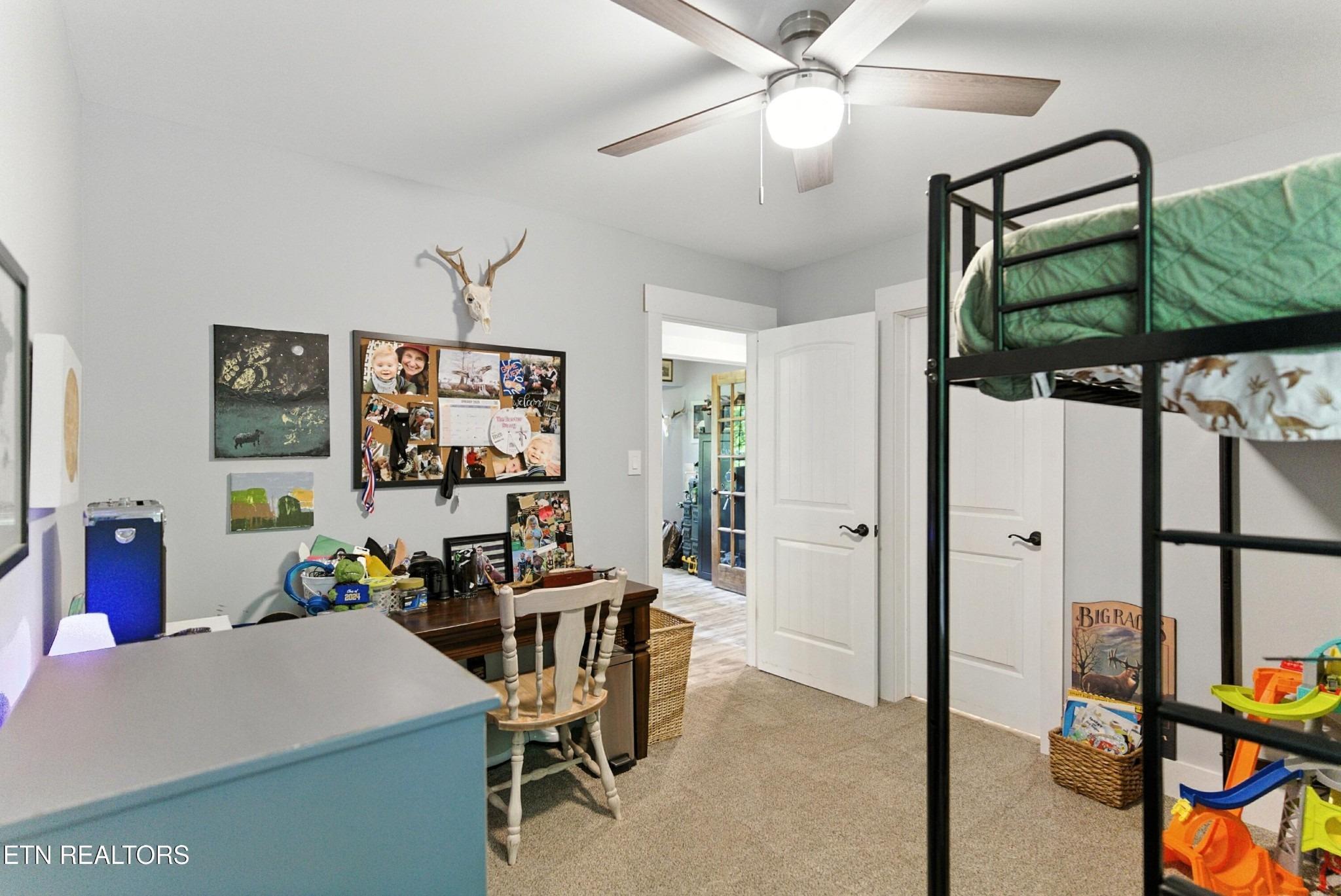New Clear Branch Rd, Rocky Top, TN 37769