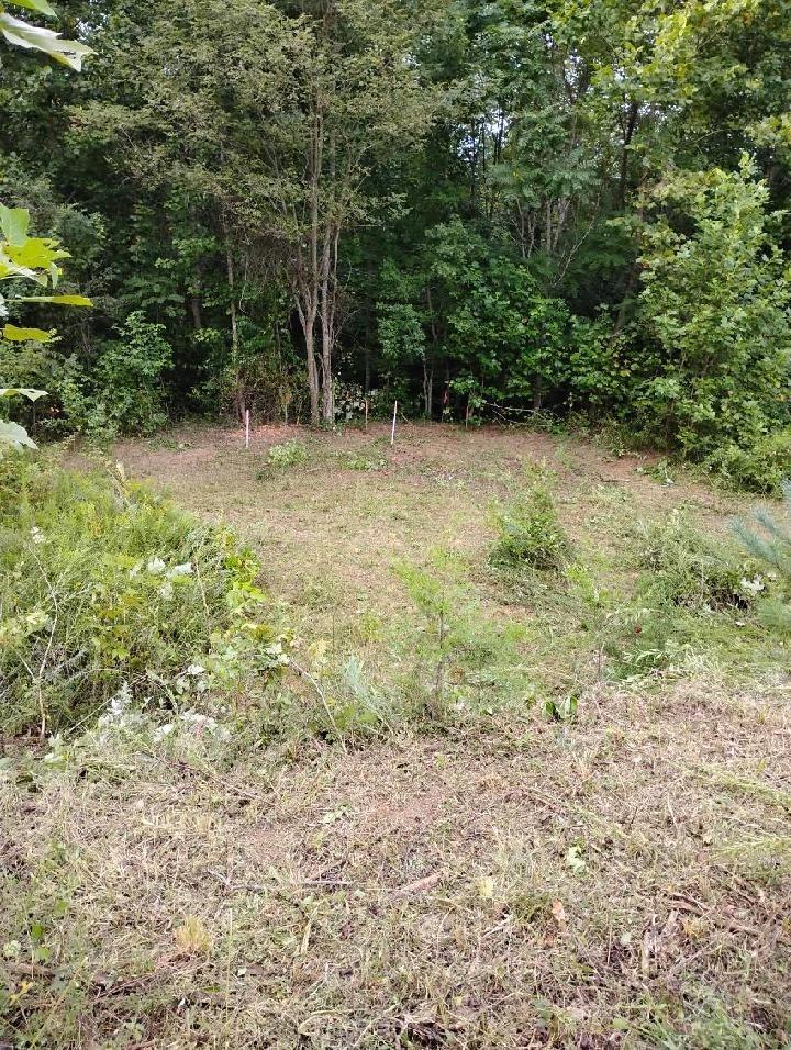 Lester Ledbetter Ln, Hilham, TN 38568