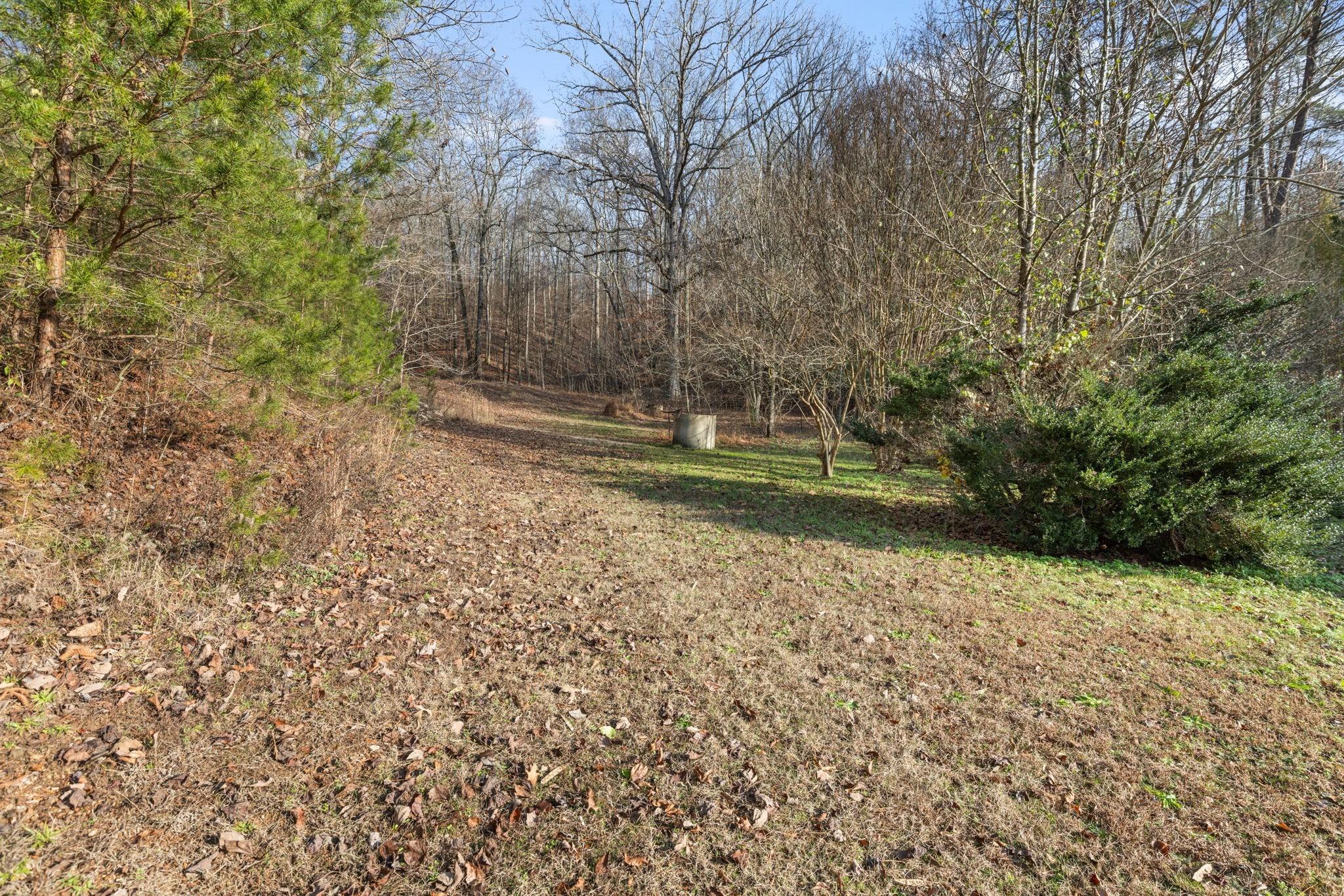 County Road 14, Waterloo, AL 35677