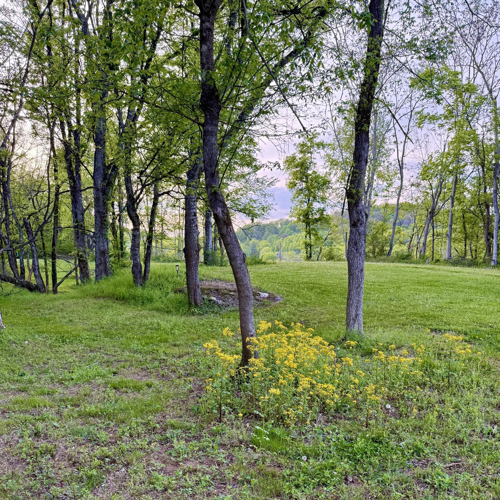 Southport Rd, Culleoka, TN 38451