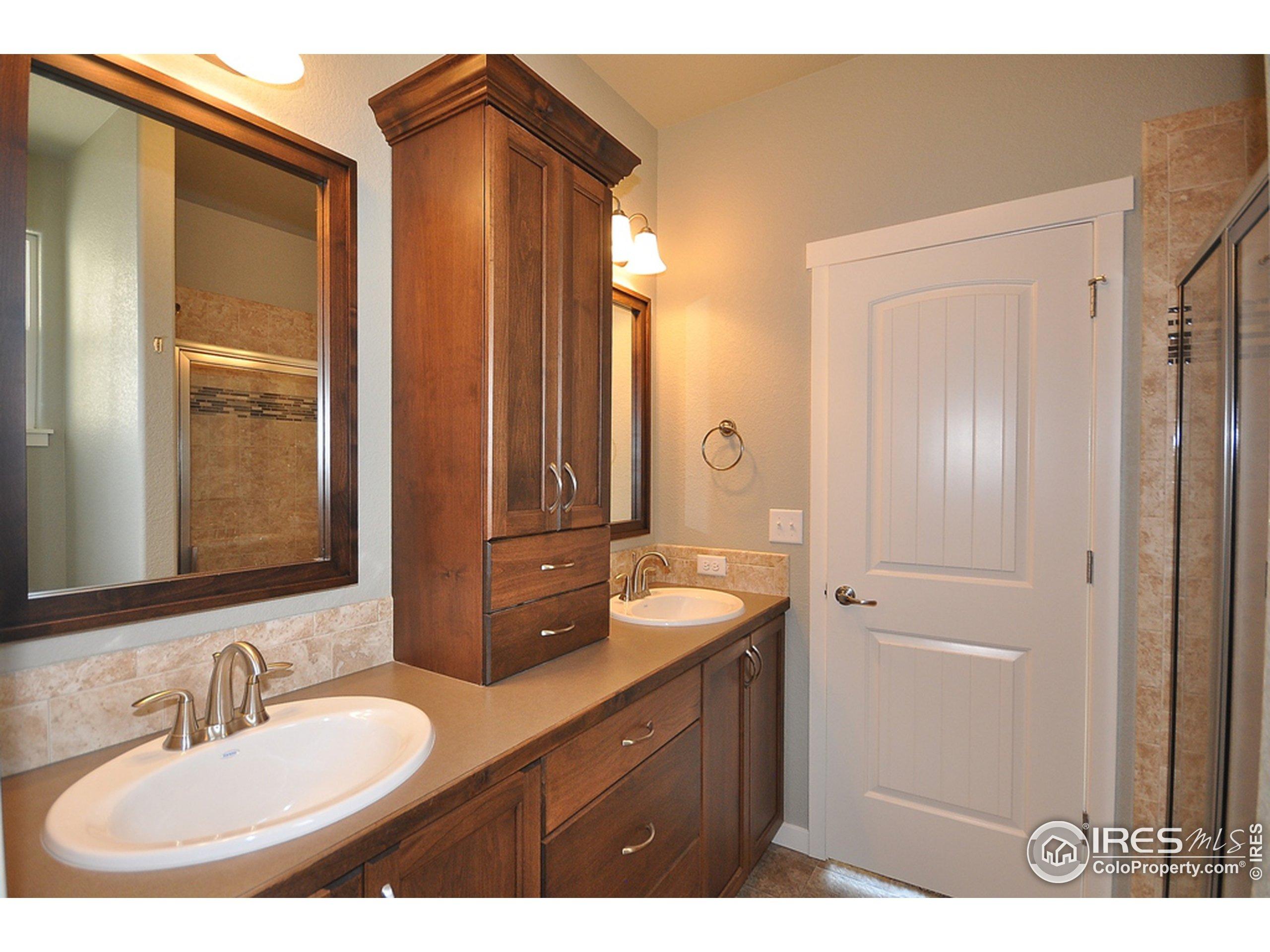 Langland St, Wellington, CO 80549