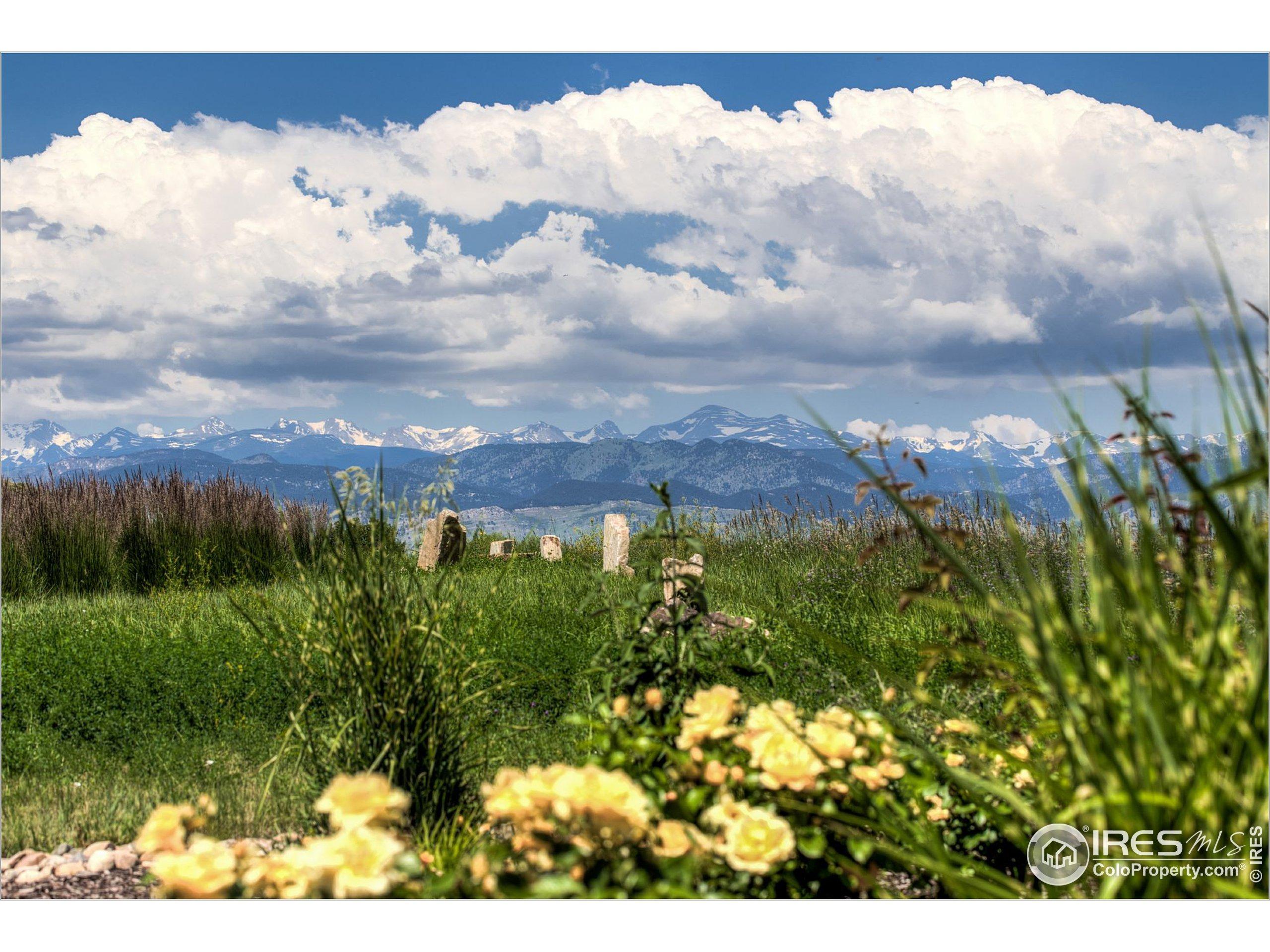 Legend Ridge Trl, Niwot, CO 80503