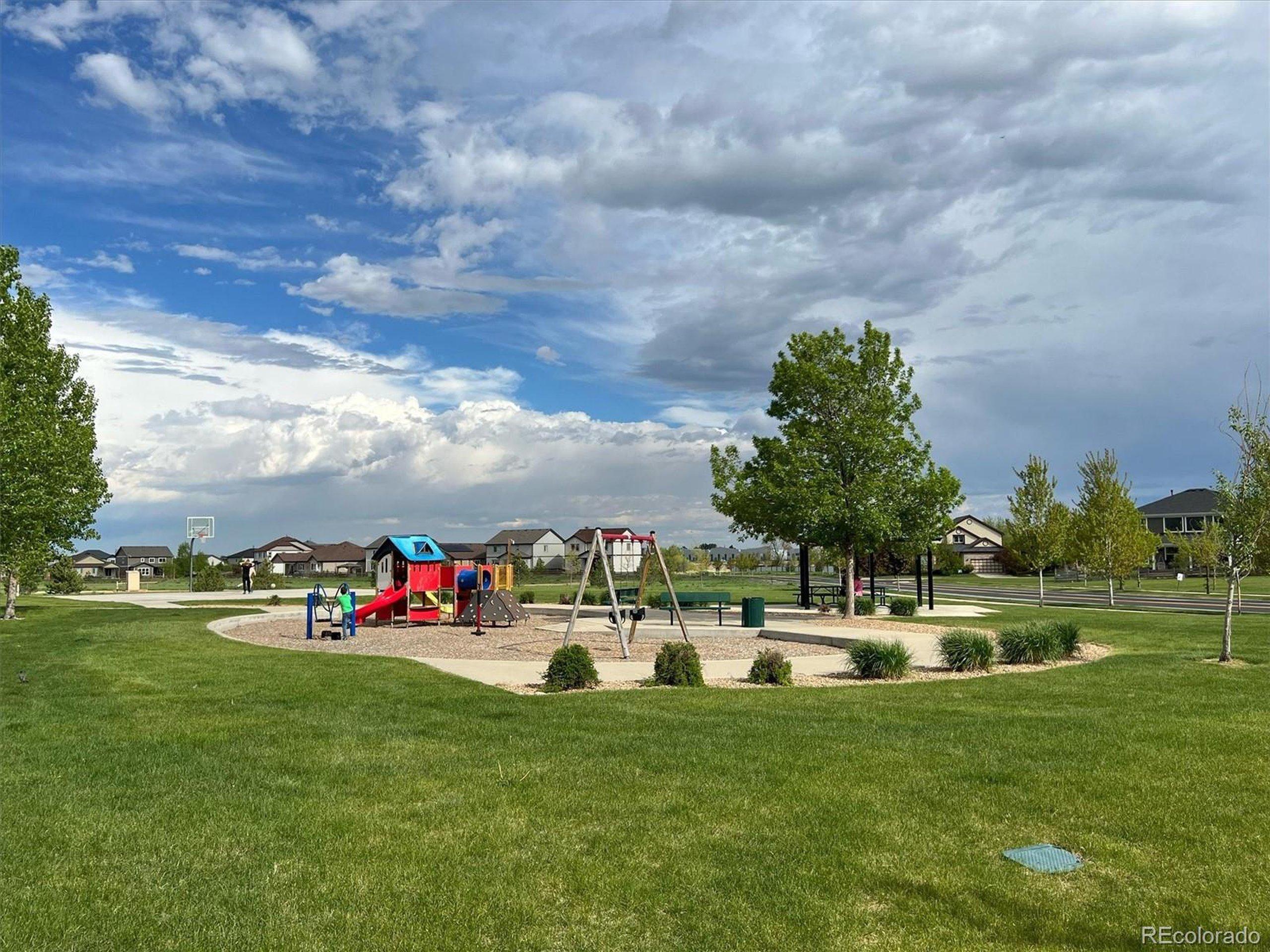 Walnut Grove Way, Erie, CO 80516