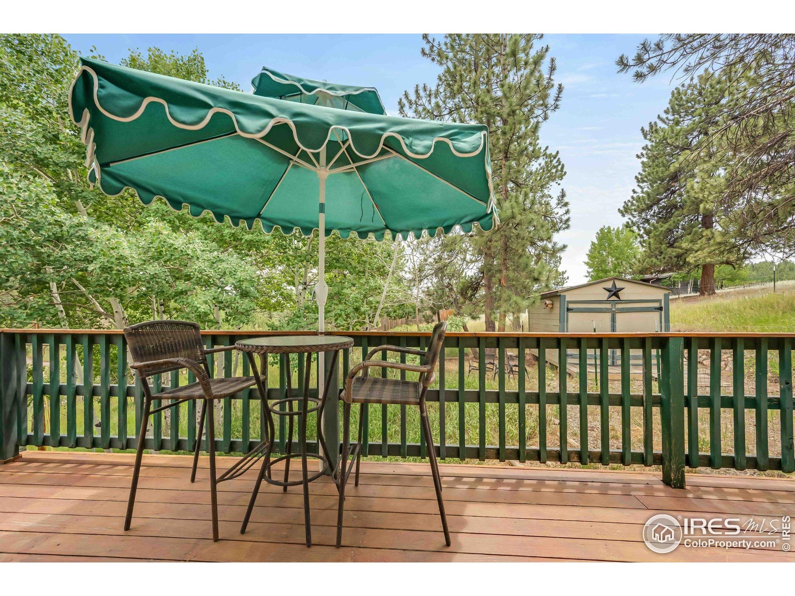 Pine Trl, Bailey, CO 80421