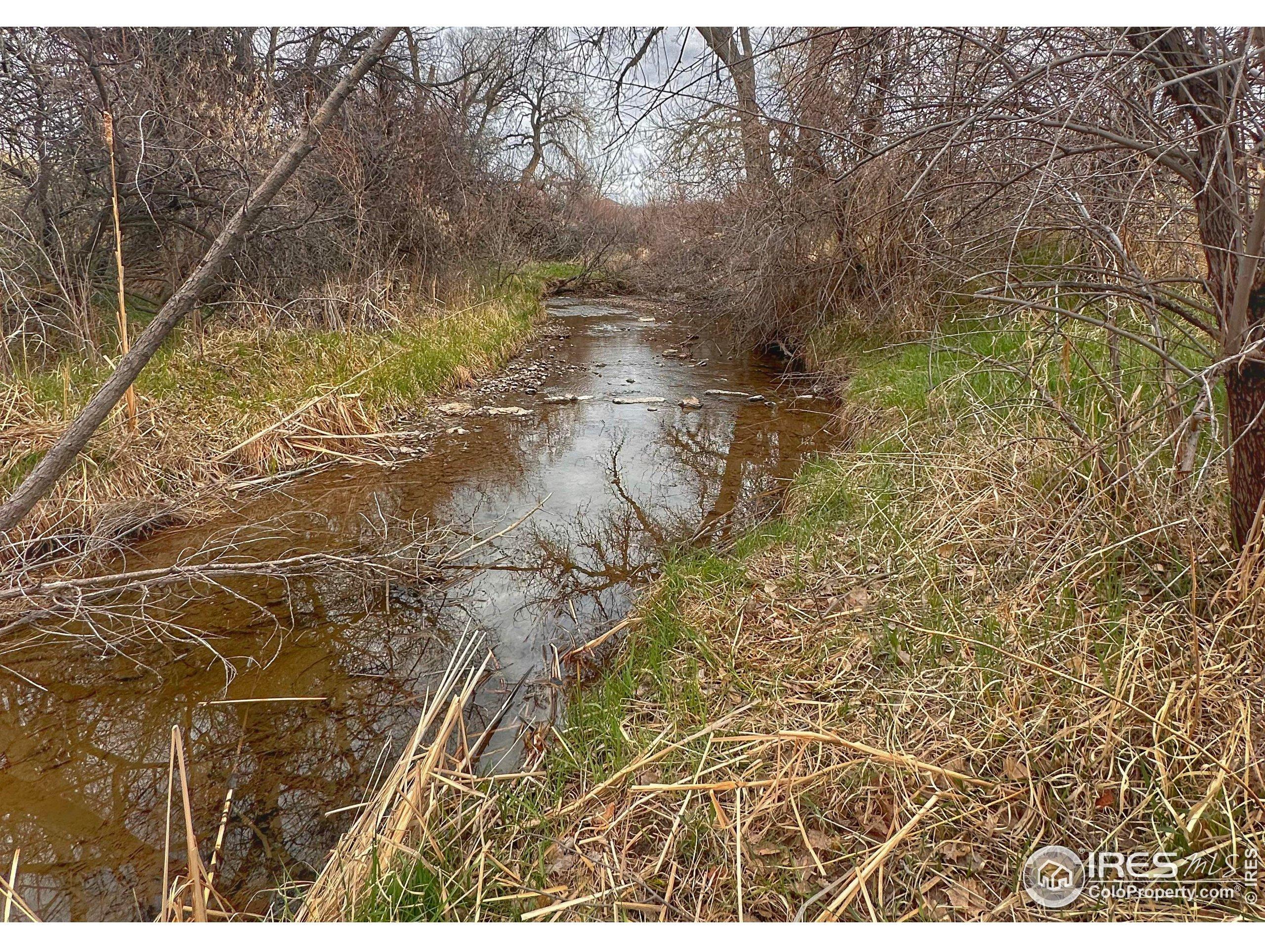 E County Road 66e, Fort Collins, CO 80524
