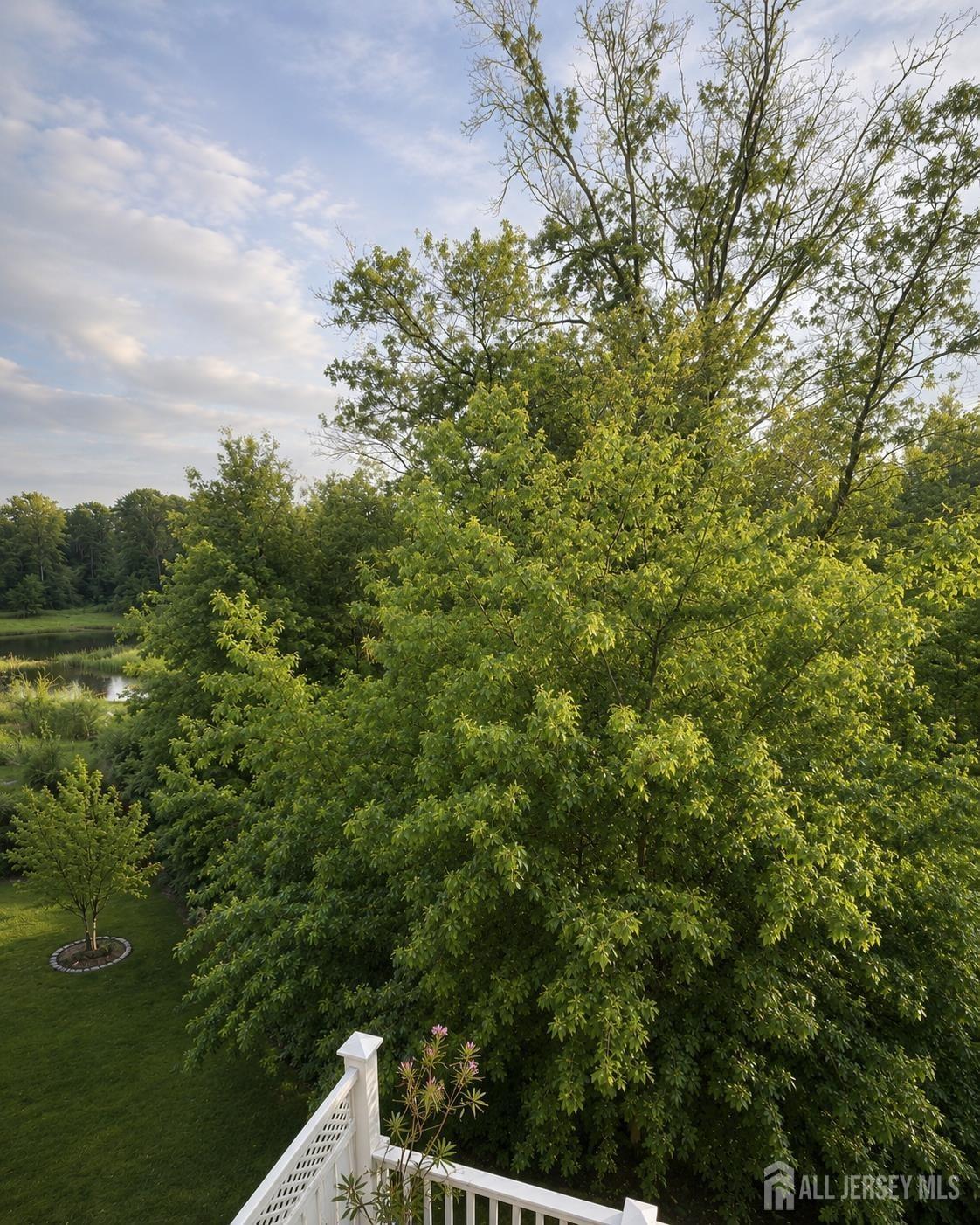 Wisteria Ct, Monroe Township, NJ 08831