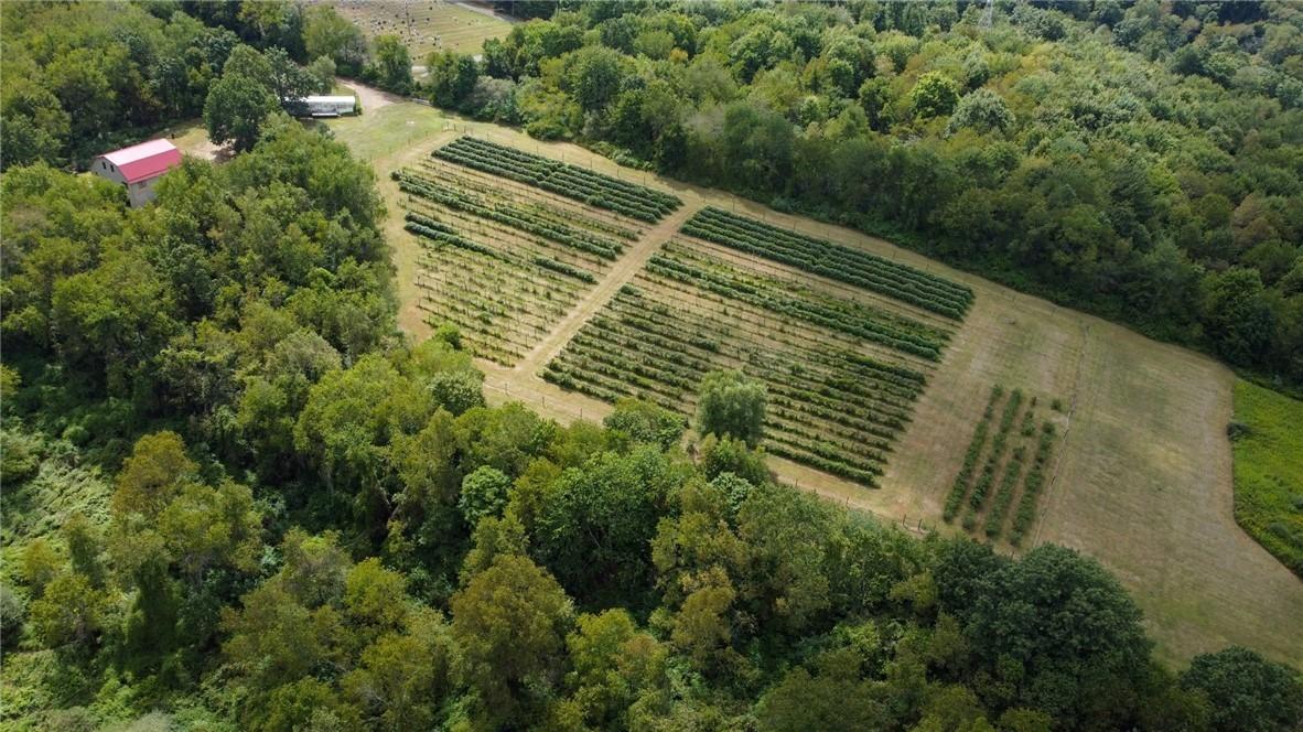 Dreher Farm Ln, Butler, PA 16002