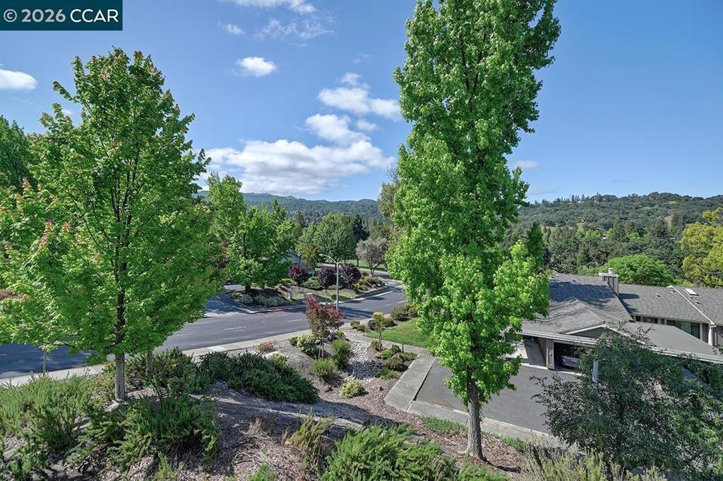 Cactus Ct, Walnut Creek, CA 94595