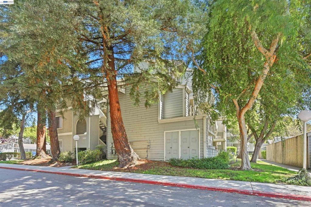 Birchwood Ter, Fremont, CA 94536
