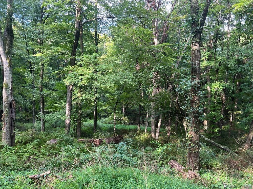 Pound Ridge Rd, Bedford, NY 10506