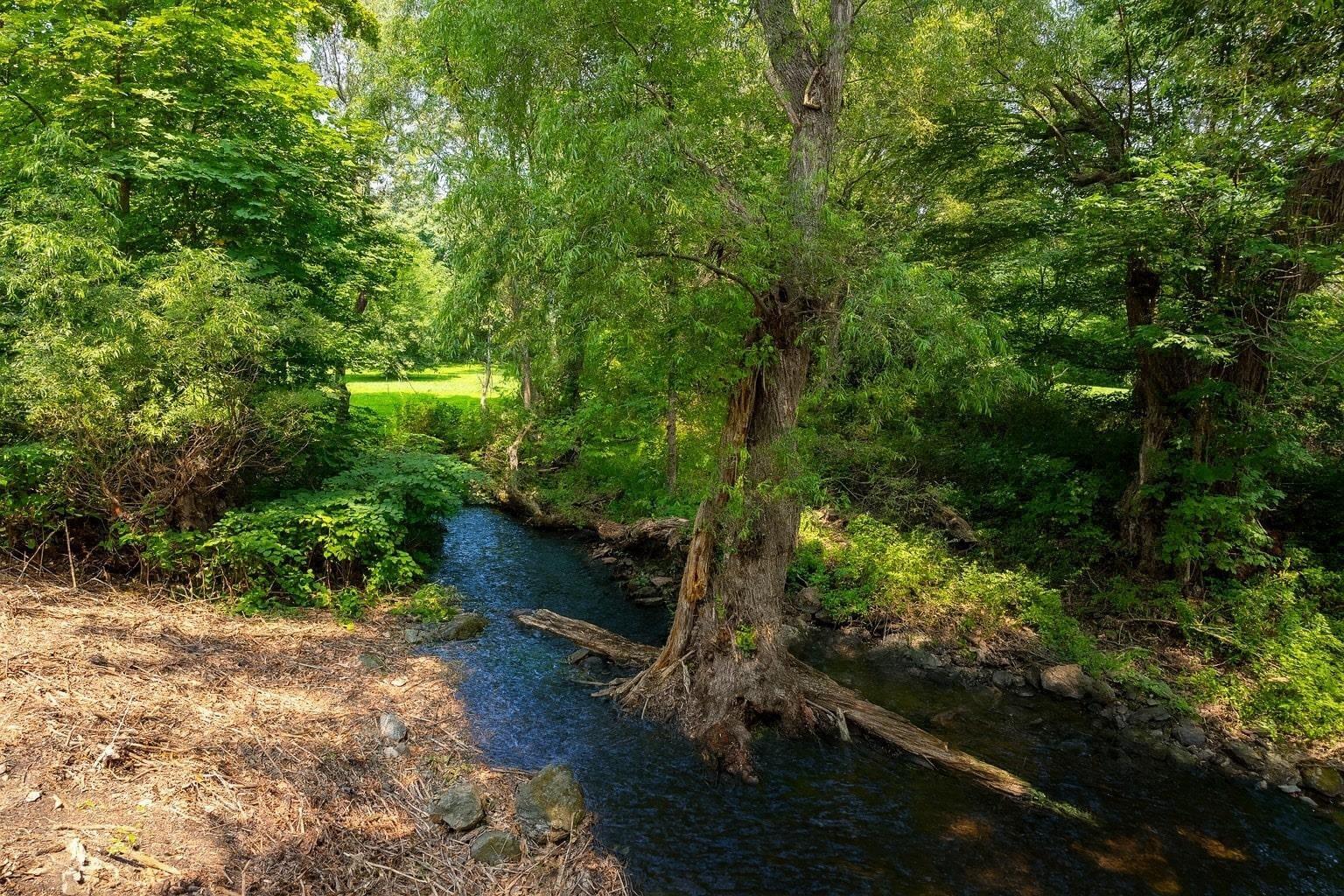 Old Route 55, Pawling, NY 12564