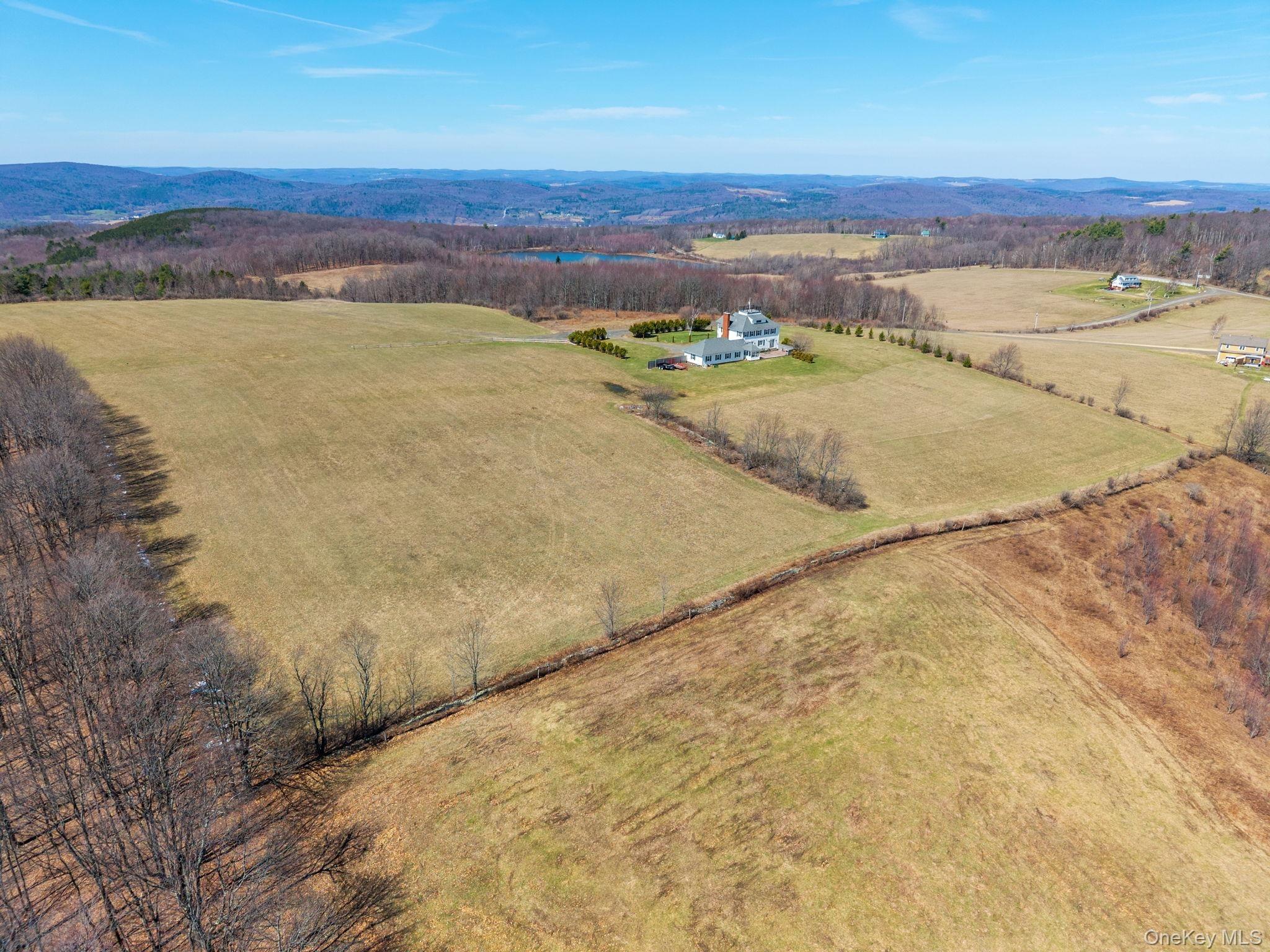 Thomas Rd, Schenevus, NY 12155