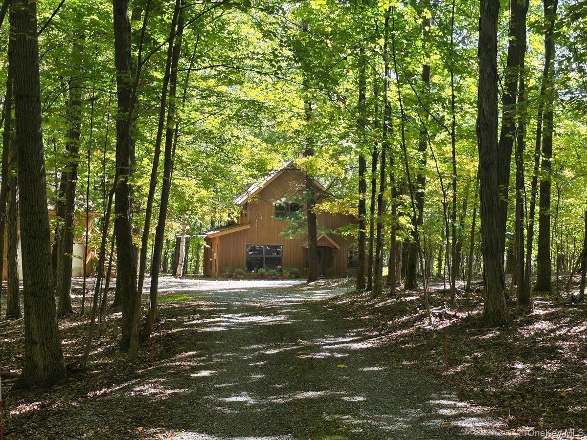 Paddock Rd, East Durham, NY 12423