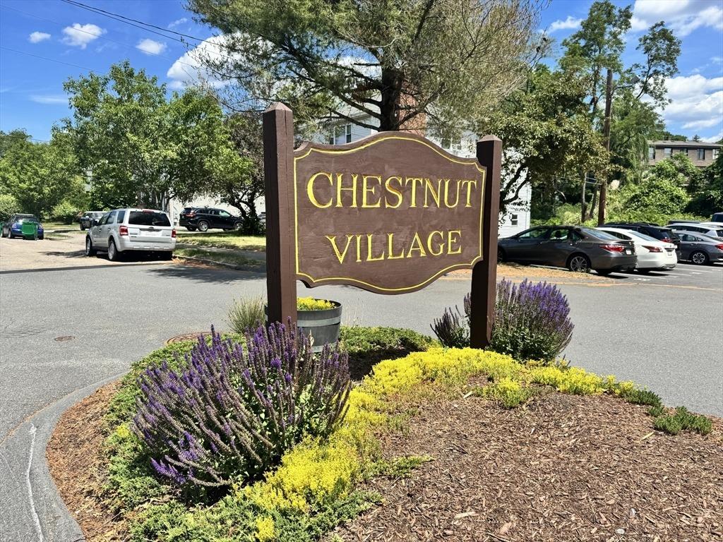 Bryon Rd, Chestnut Hill, MA 02467