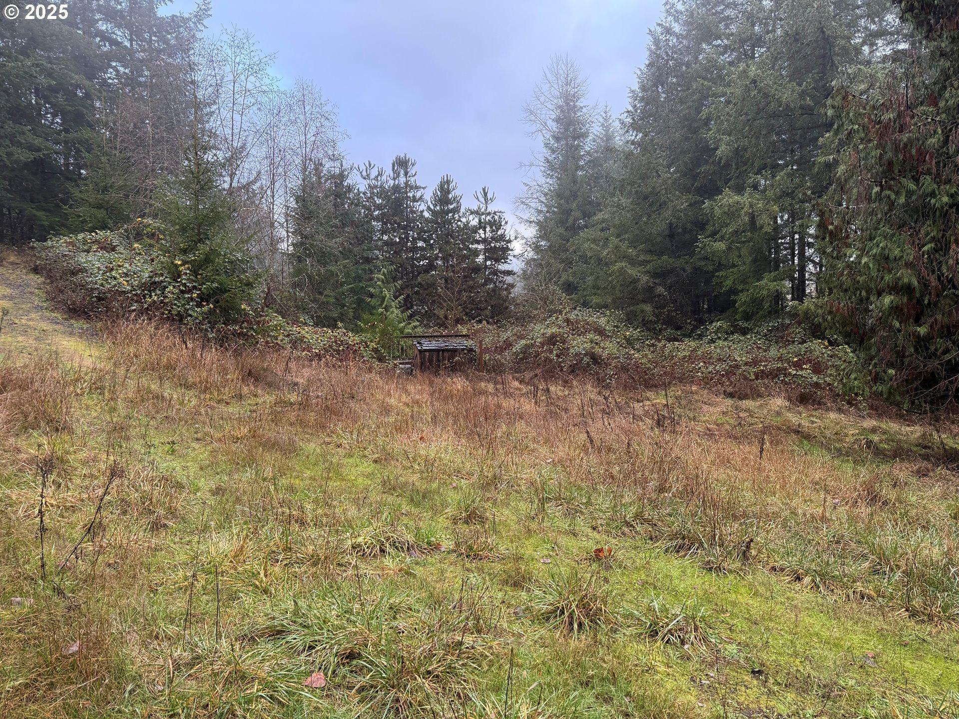 S Salo Rd, Mulino, OR 97042