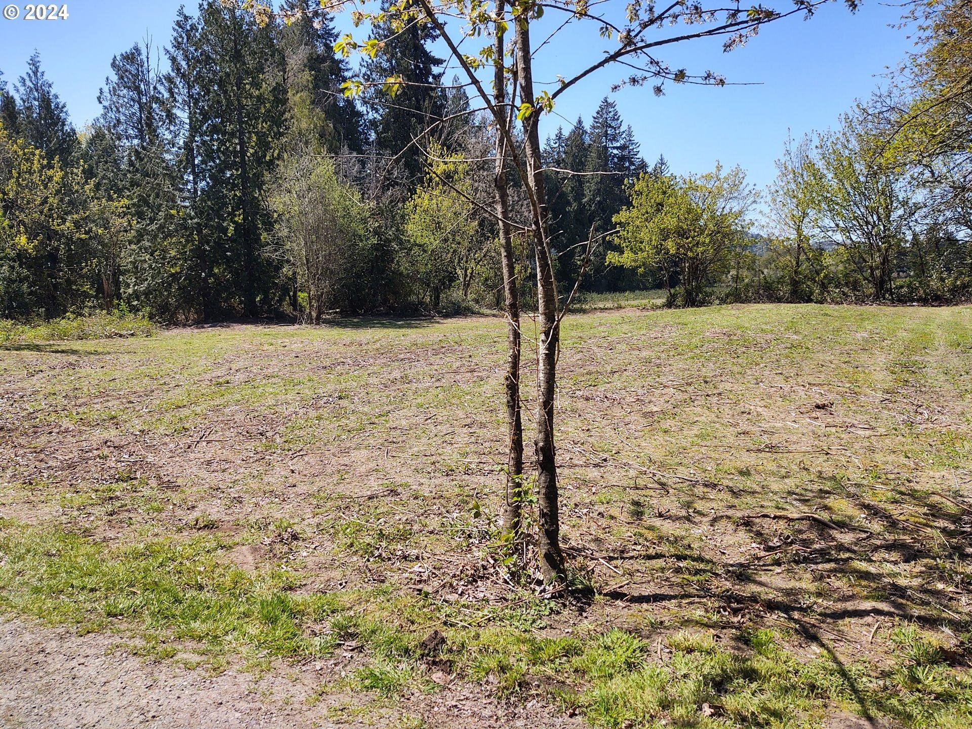 Se Carl St, Gresham, OR 97080