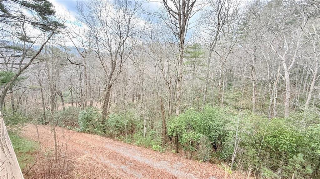 Doublehead Gap Rd, Blue Ridge, GA 30513