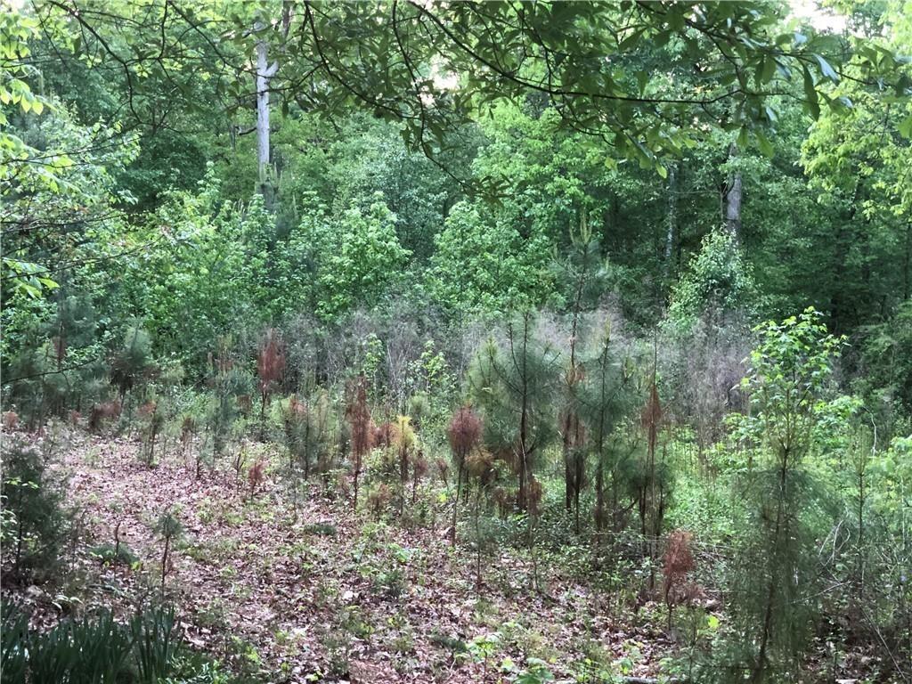 Old Salem Rd Se, Conyers, GA 30013
