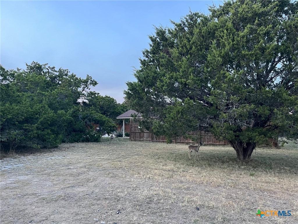 Inglewood Dr, Canyon Lake, TX 78133