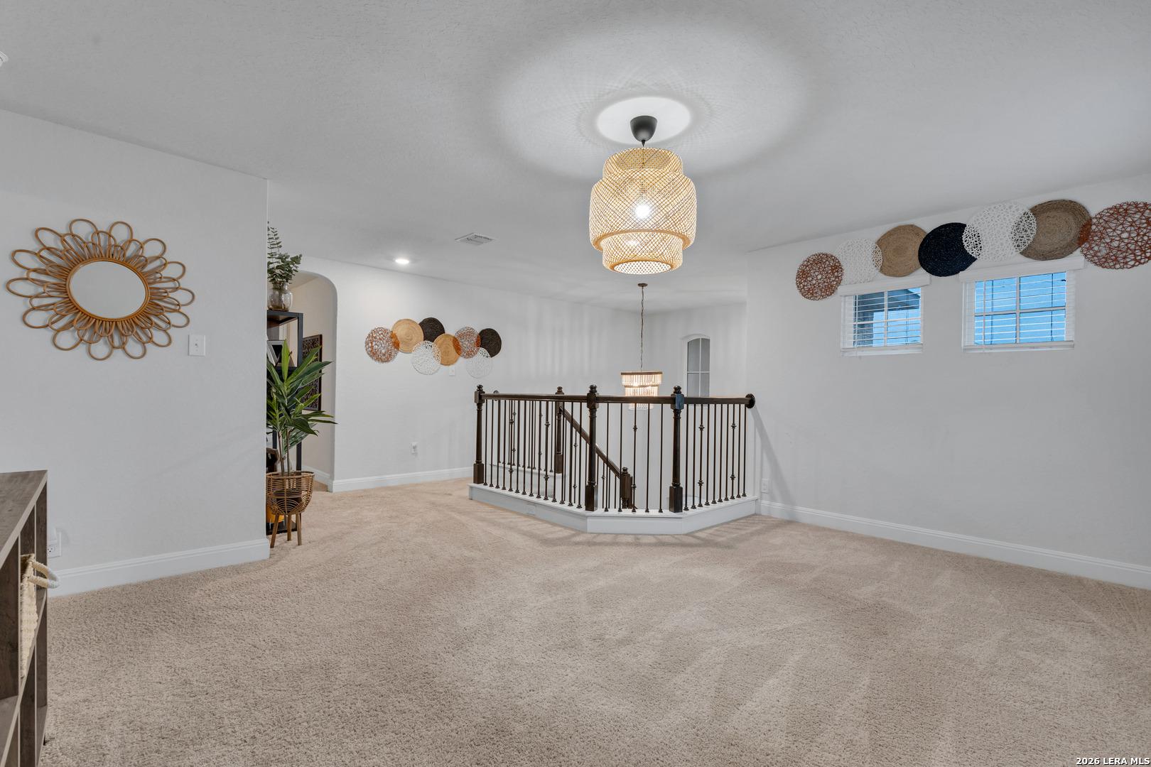 Bicknell Sedge, San Antonio, TX 78254