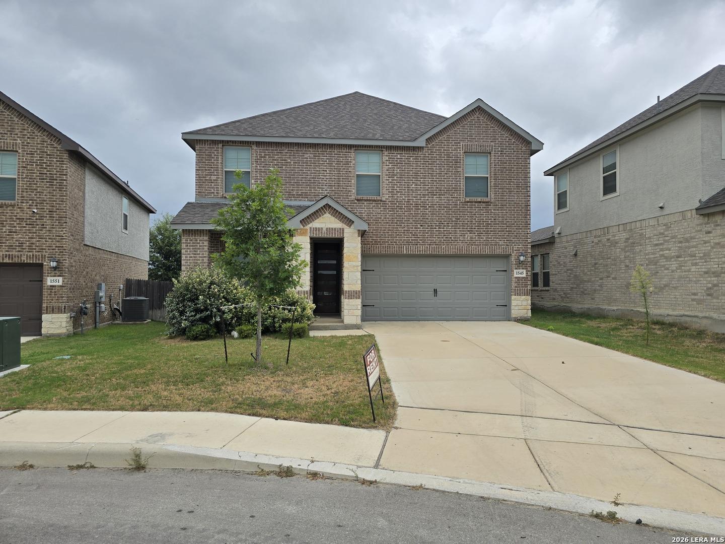 Arcadian Lily, San Antonio, TX 78245