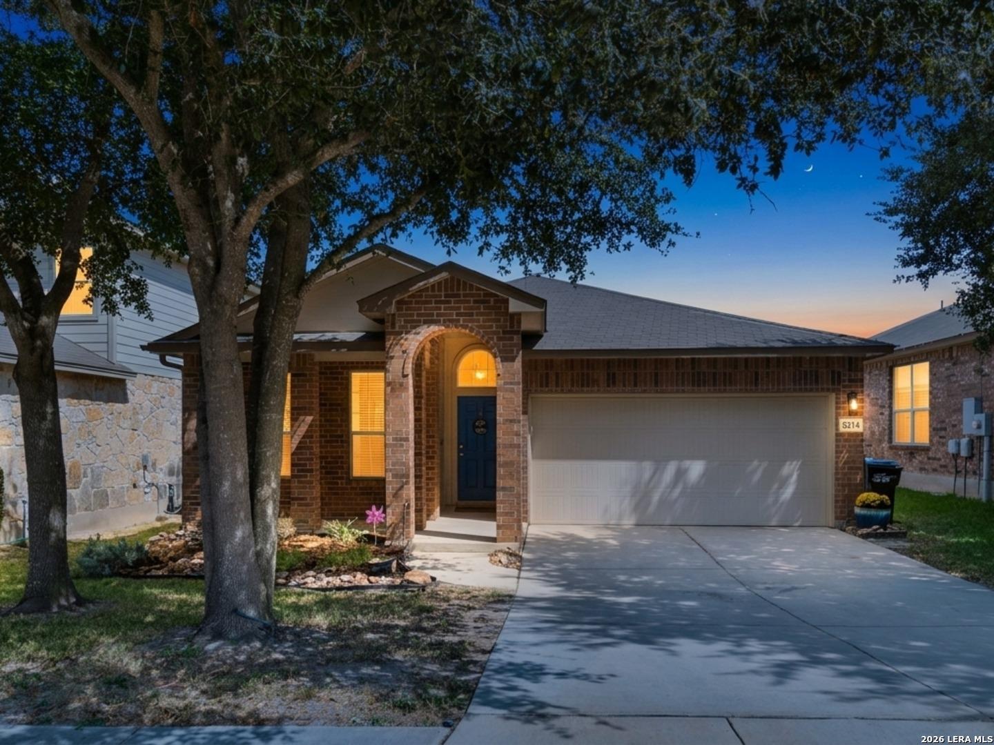 Black Bear, San Antonio, TX 78253