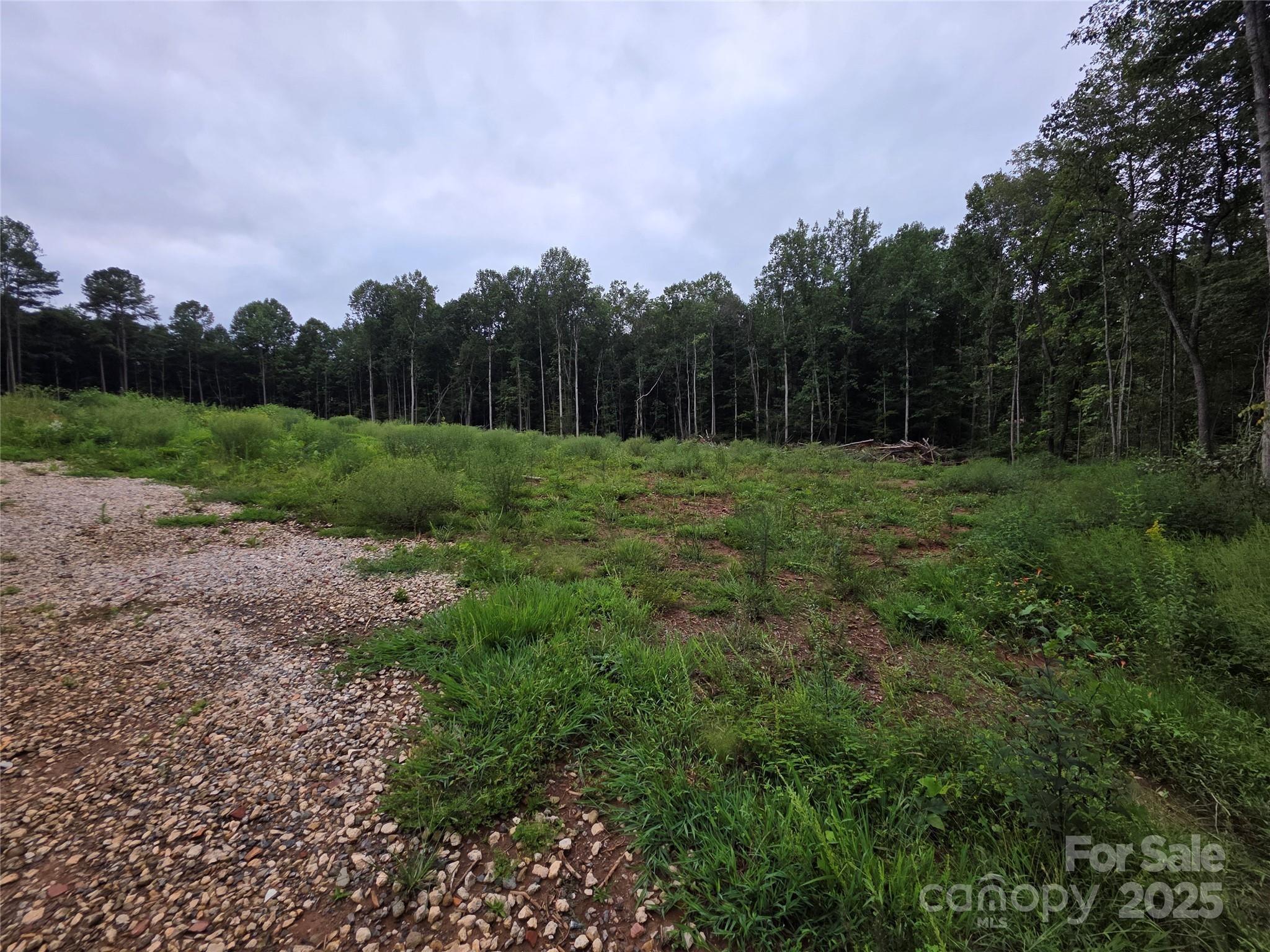 Deerchase Cir, Statesville, NC 28625
