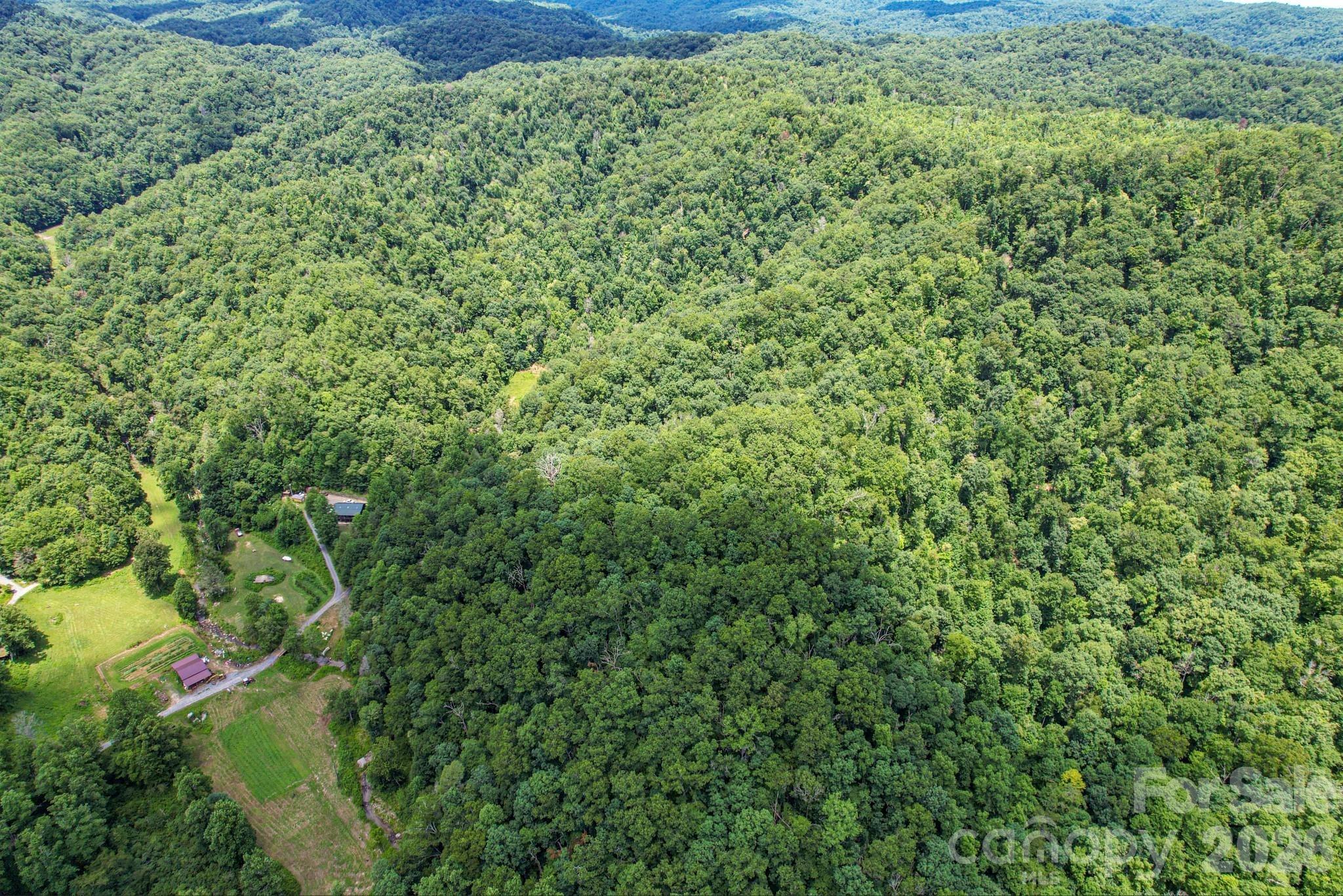 Lower Sand Branch Rd, Black Mountain, NC 28711