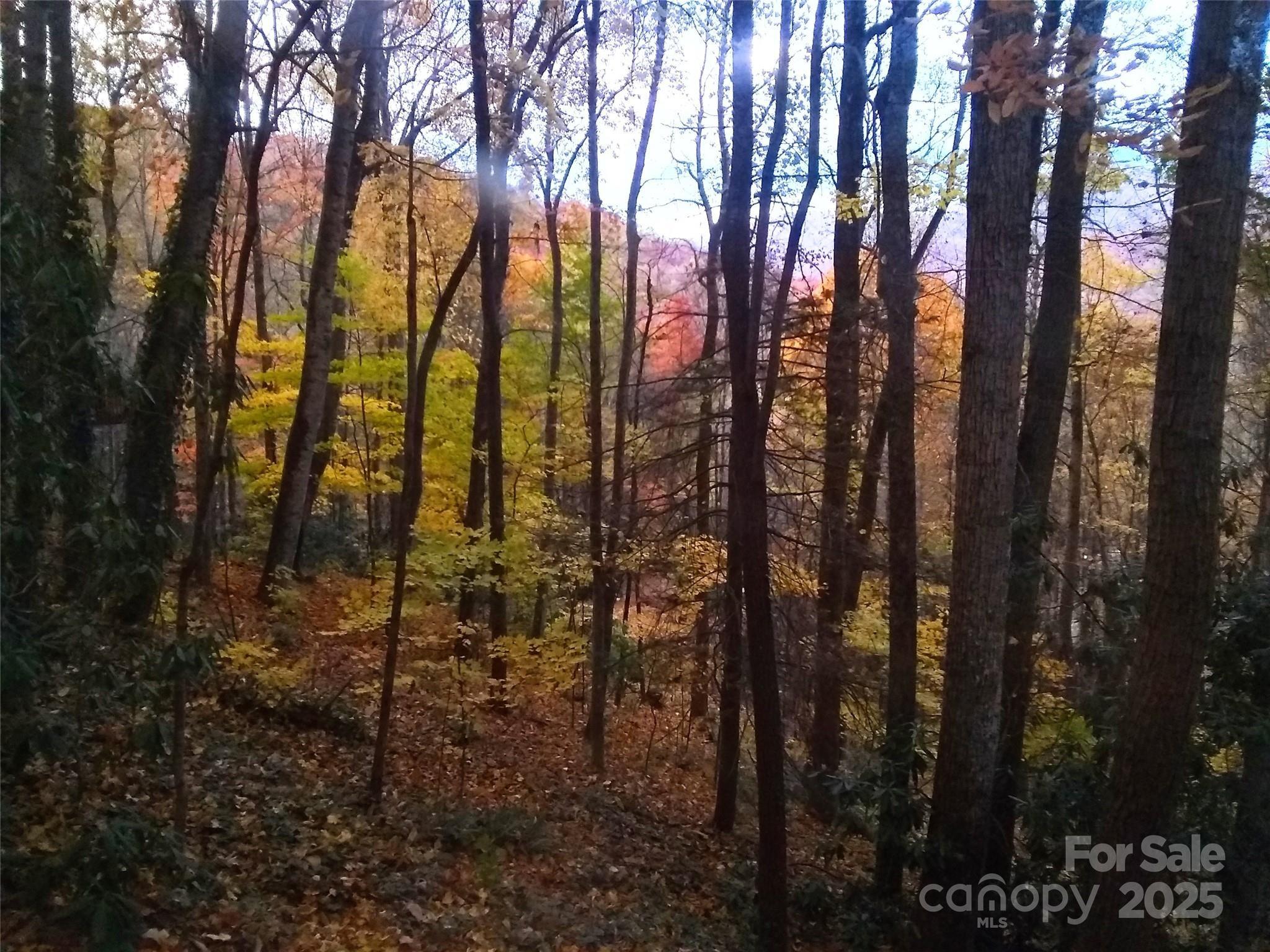 Locust Dr, Maggie Valley, NC 28751