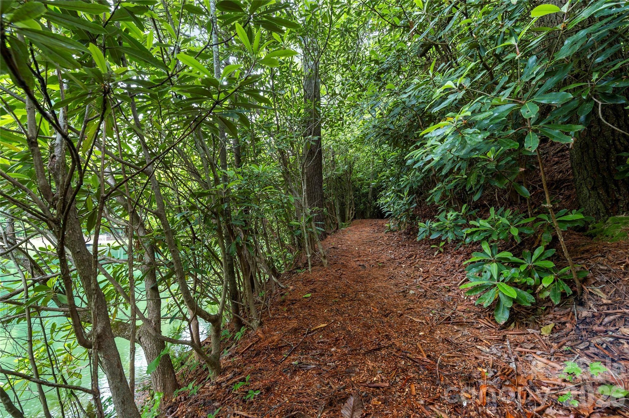 Huckleberry Ridge Ln, Zirconia, NC 28790
