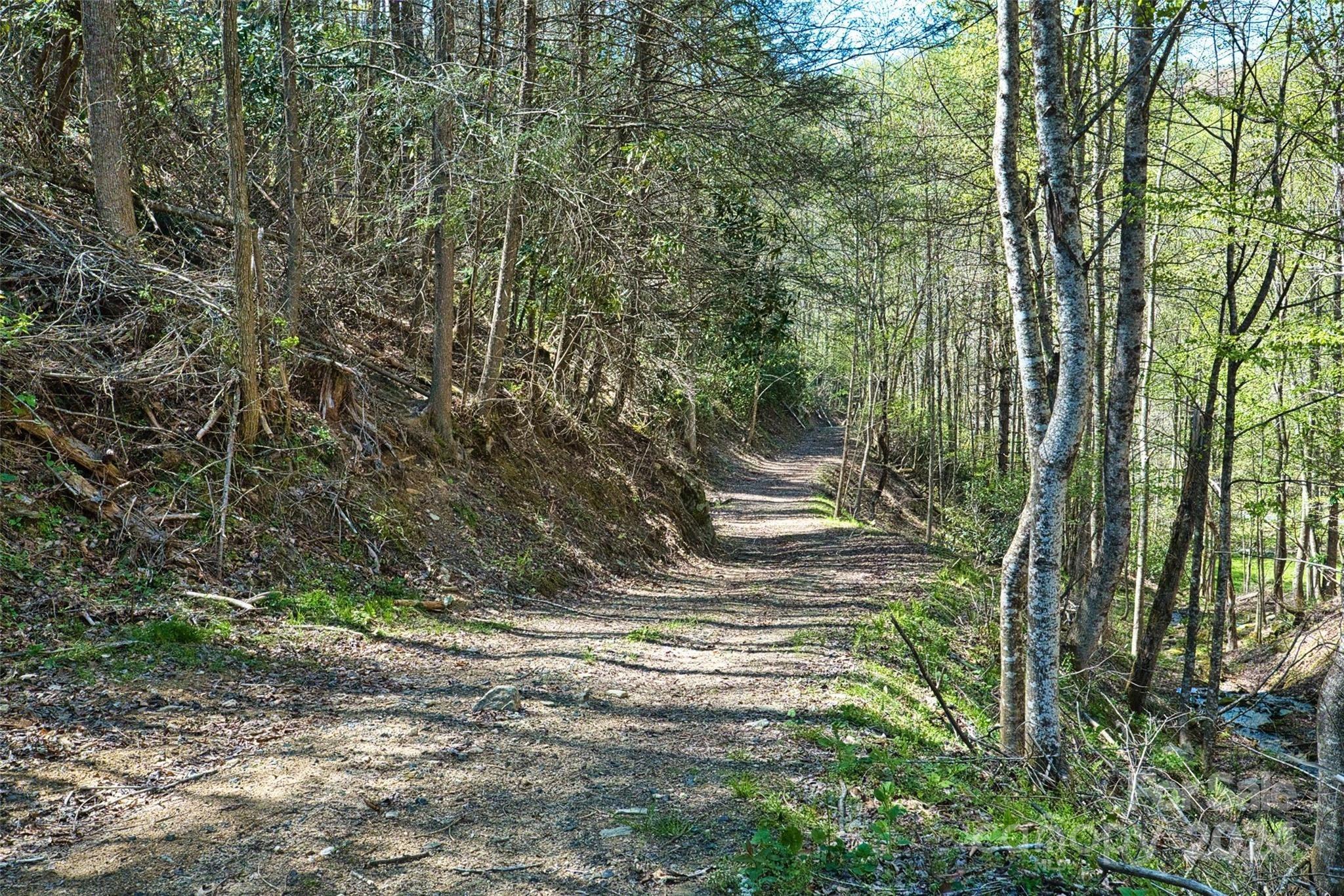 Pigeon Roost Rd, Green Mountain, NC 28740