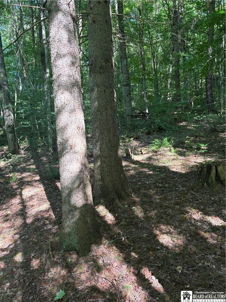 Baxter Mills Rd, Hinsdale, NY 14743