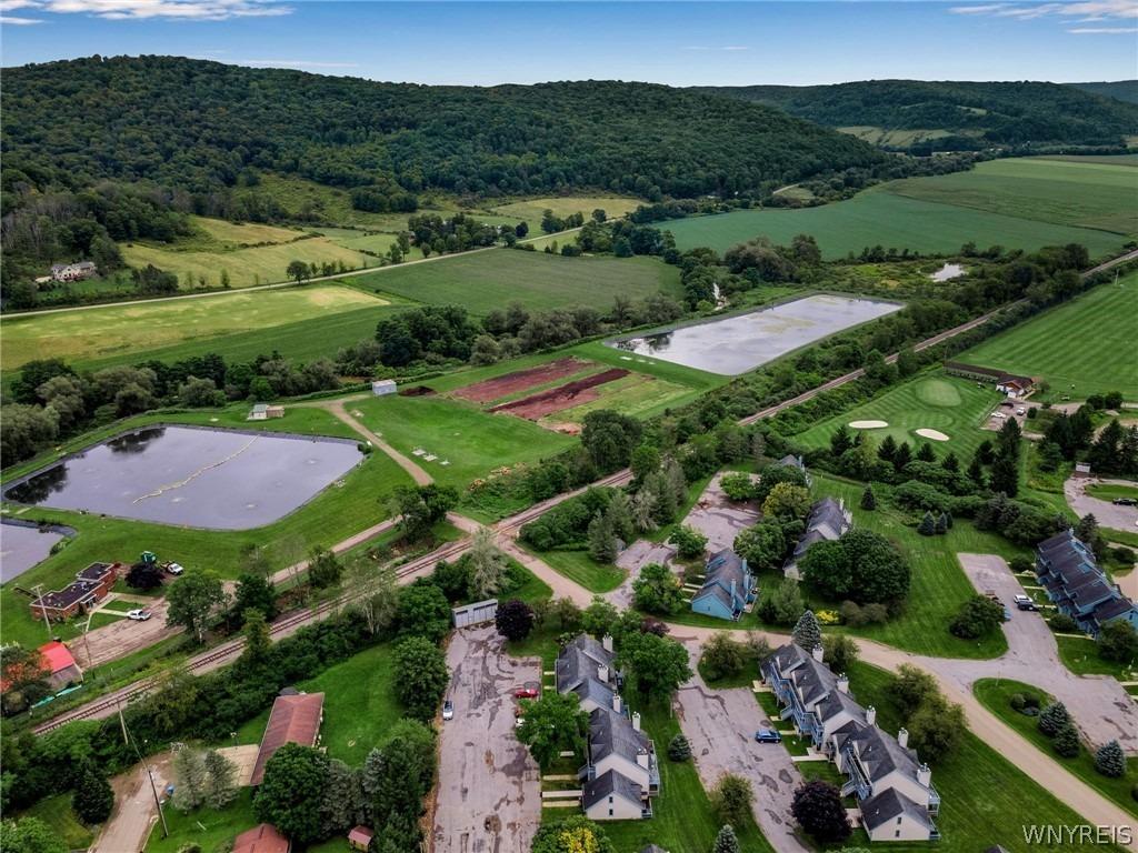 Wildflower, Ellicottville, NY 14731