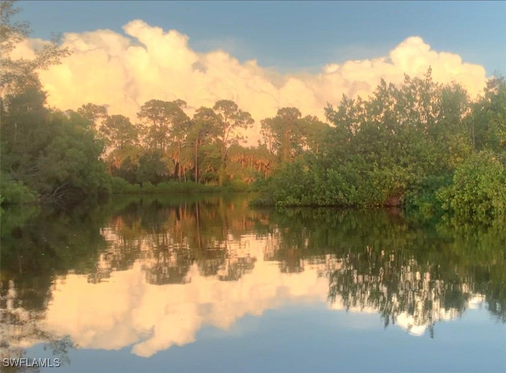New Moon Ct, Naples, FL 34112