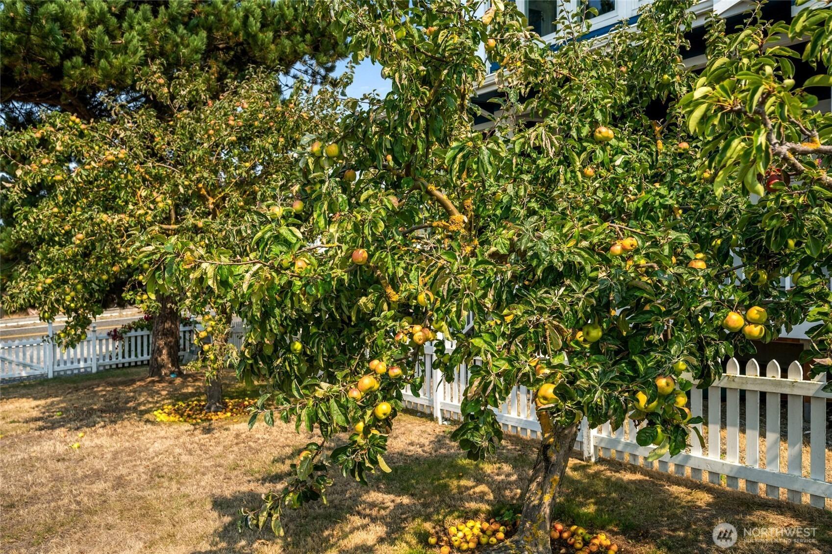 Saltspring Dr, Ferndale, WA 98248