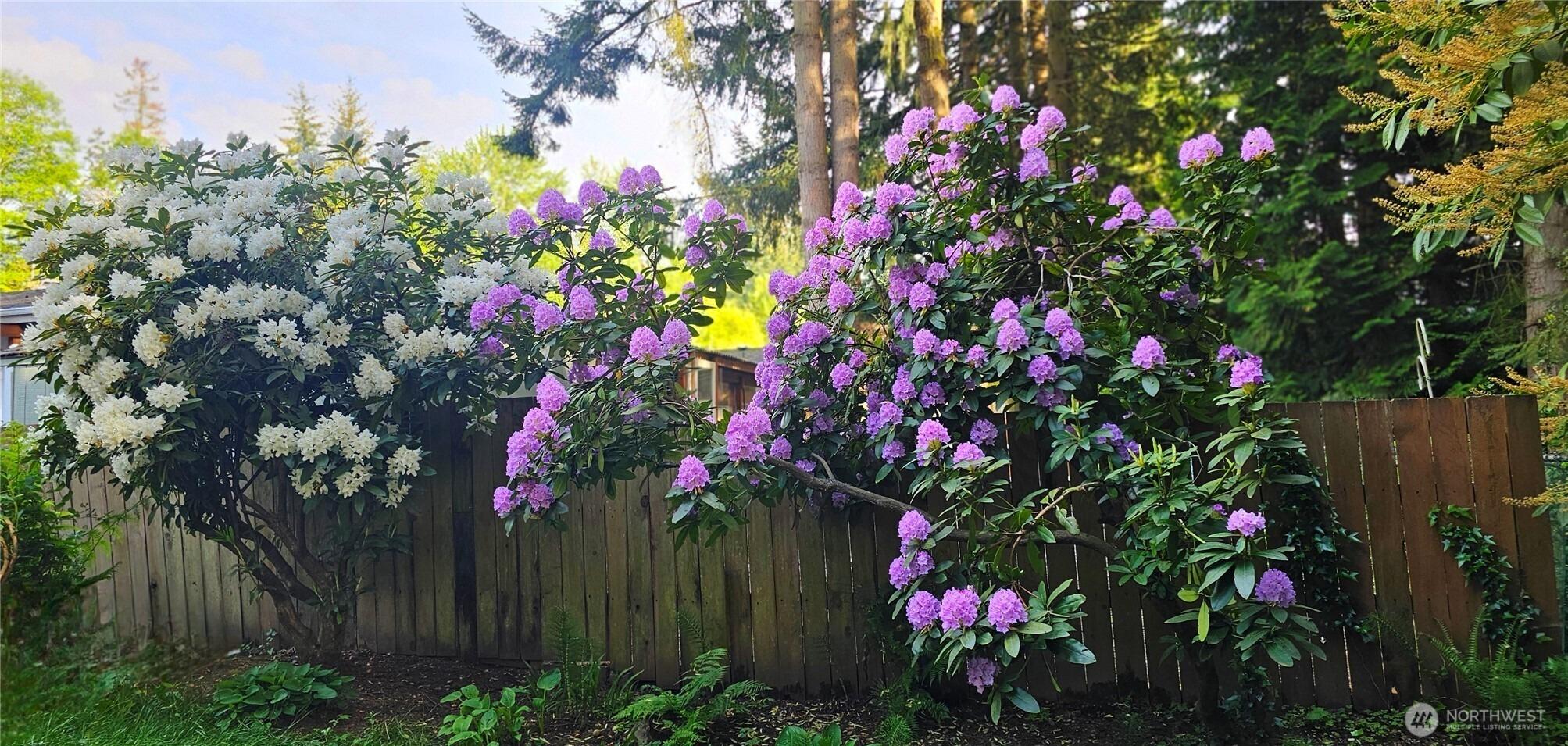 Hardeson Rd, Everett, WA 98203
