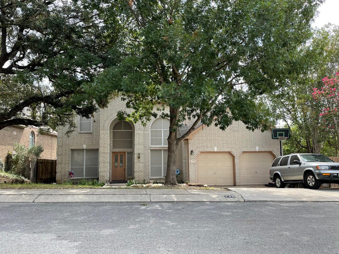 Treaty Oak, San Antonio, TX 78258